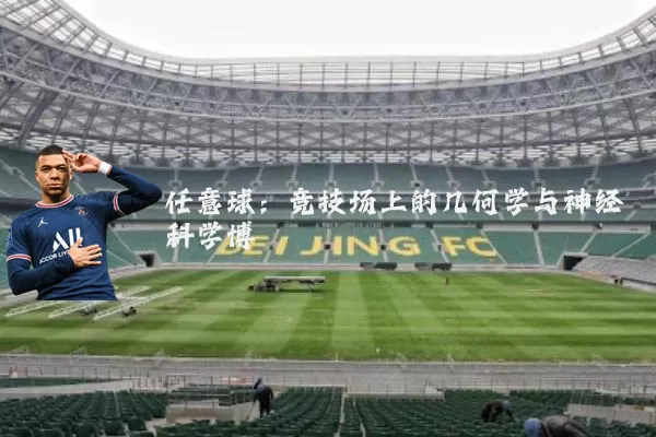 任意球:竞技场上的几何学与神经科学博弈